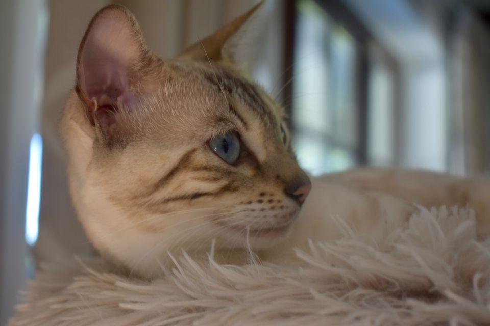 Cindy im Profil