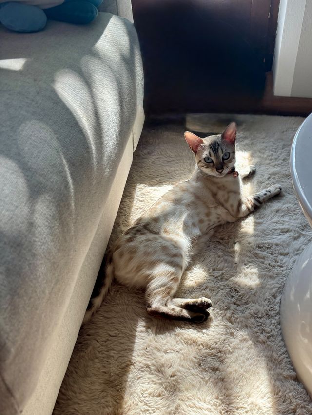 Cindy räkelt sich in der Sonne
