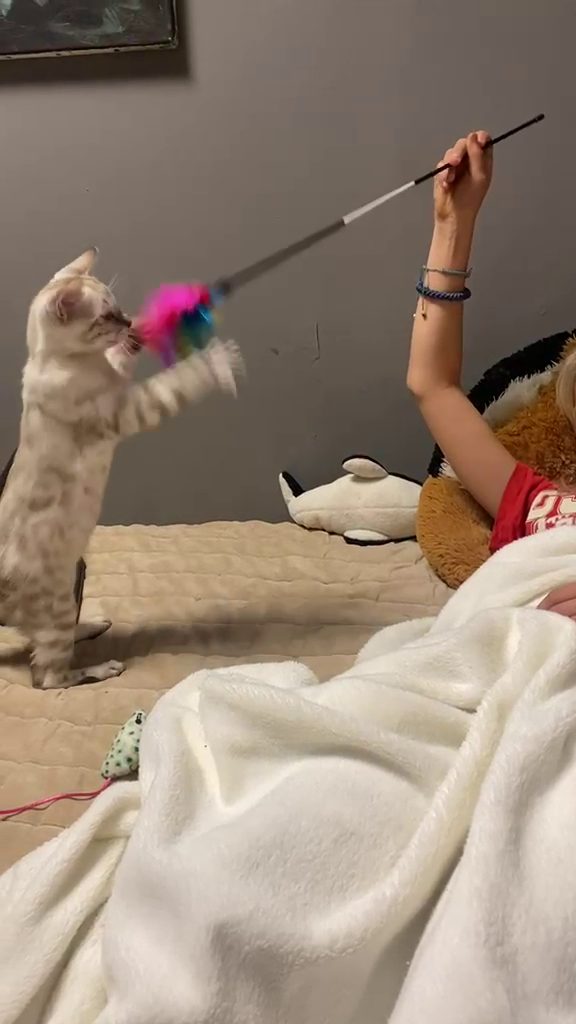 Video: Cindy spielt mit der Federangel
