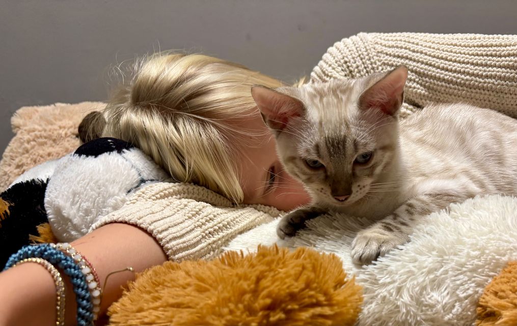 Mittagsschlaf mit Cindy